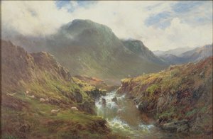 The Falls of Foyers